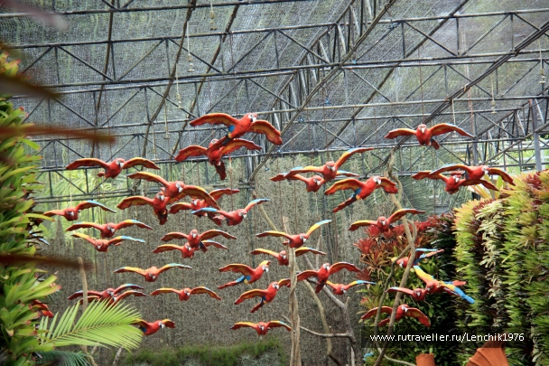 photo 785761