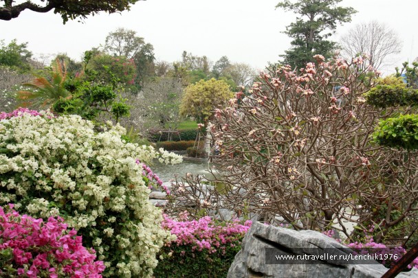 photo 785786