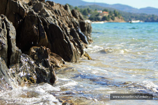 photo 459612