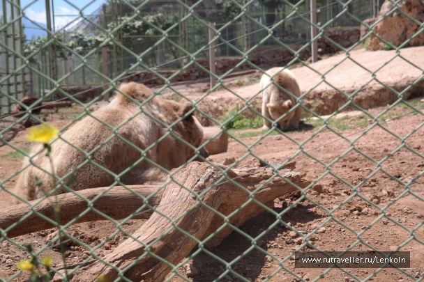 photo 1474938