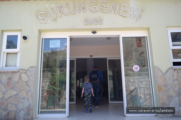 photo 1474940