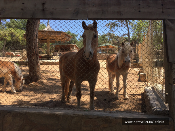photo 1474941