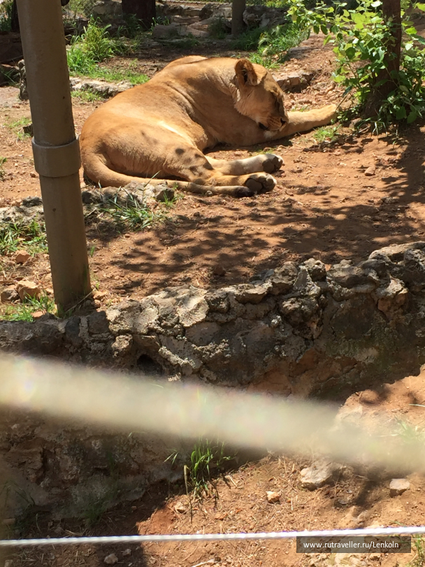 photo 1474942