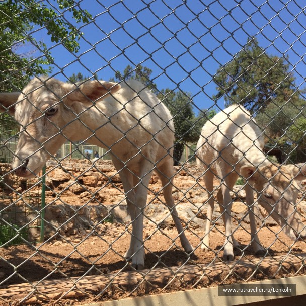 photo 1474943