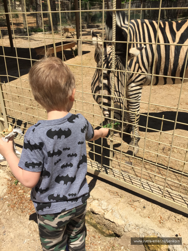photo 1474944