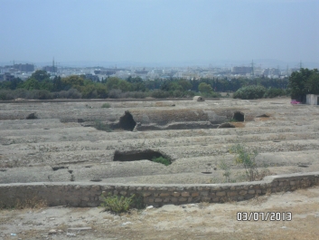 photo 764272