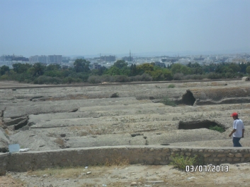 photo 764273