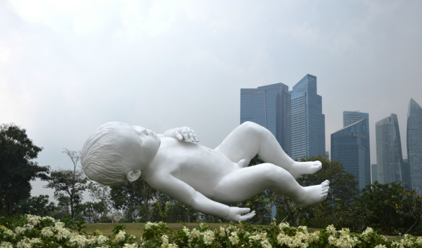 DSC_0554