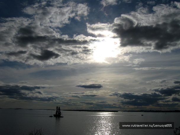 photo 258887