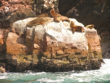 photo 932248