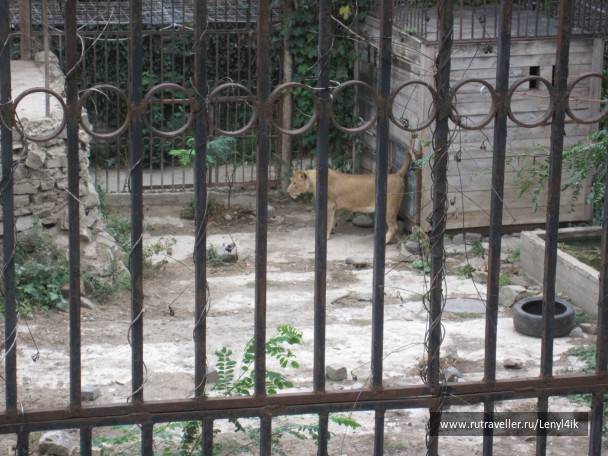 photo 476169