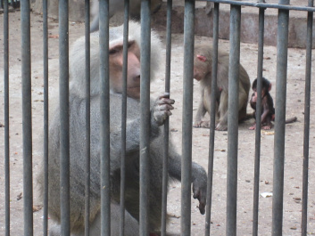 photo 476171