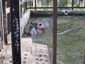 photo 476172