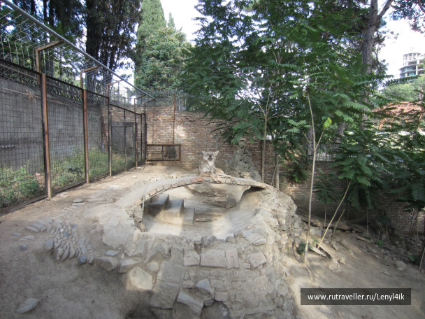 photo 476173