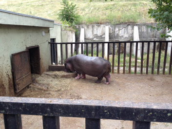 photo 476174