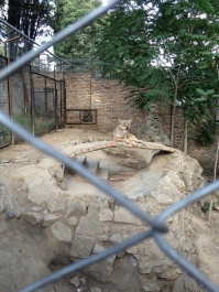 photo 476181