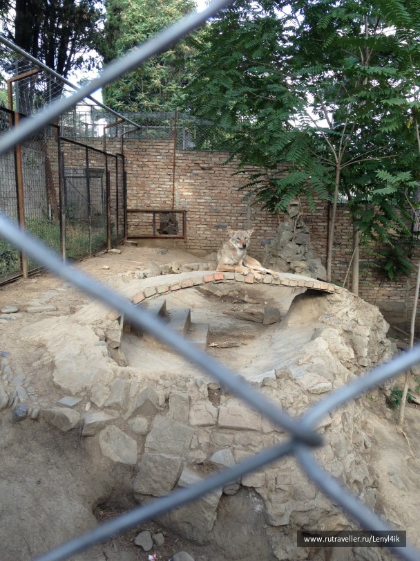 photo 476181