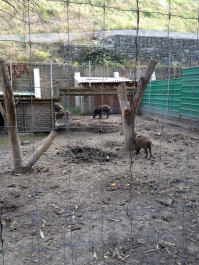 photo 476180