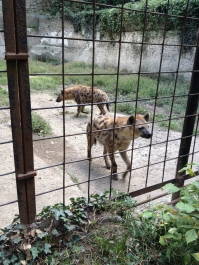 photo 476179