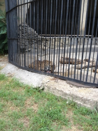 photo 476177