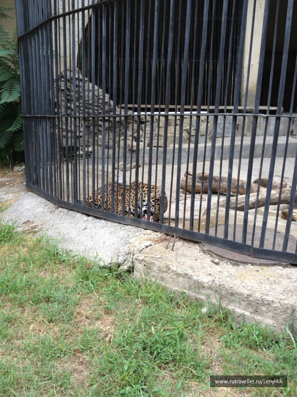 photo 476177