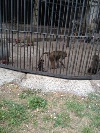 photo 476175