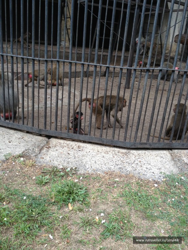 photo 476175
