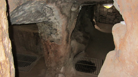 photo 1105450