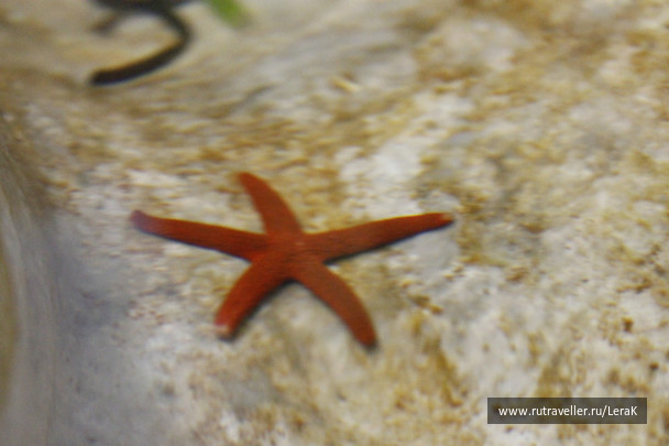 photo 125168