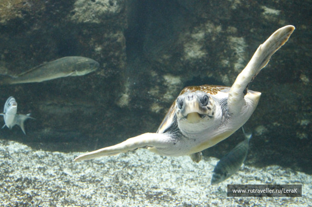 photo 125213