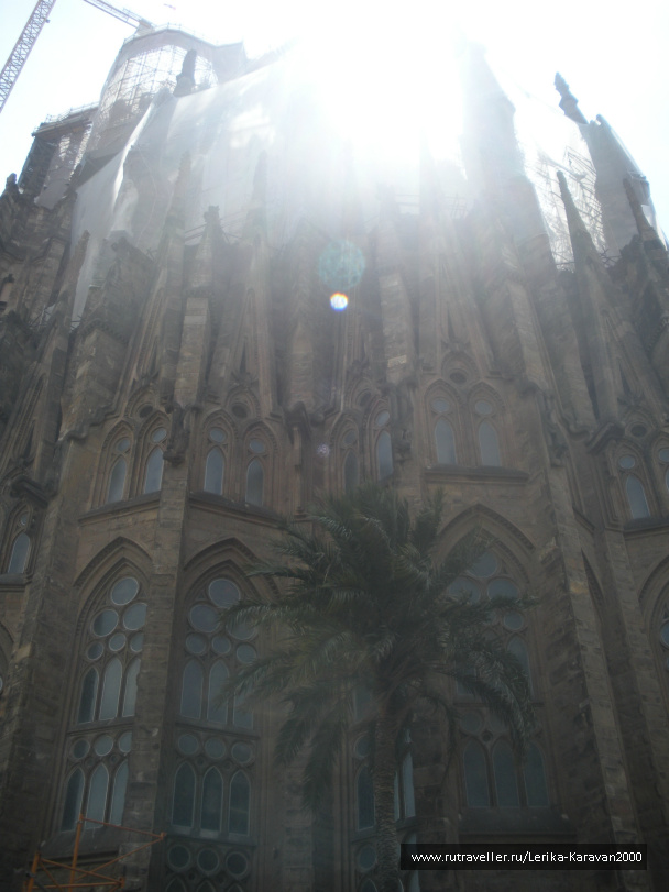 photo 268664