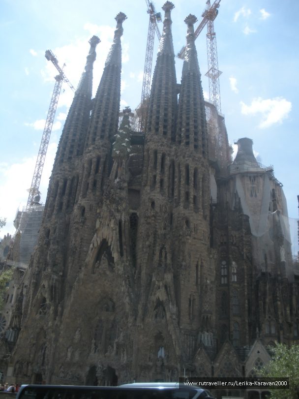photo 268669