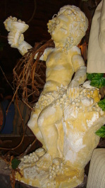 photo 309772