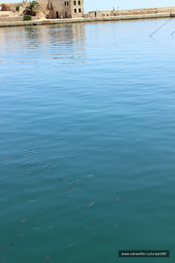 photo 1008505