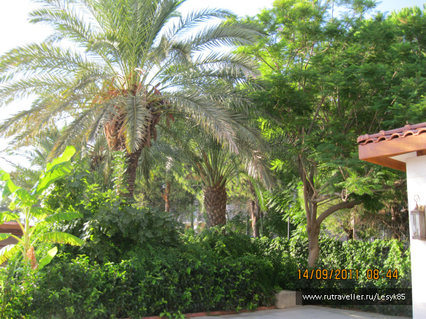 photo 411894