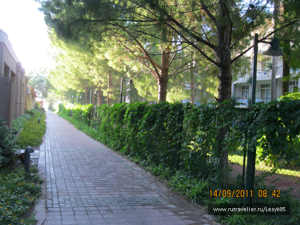 photo 411899
