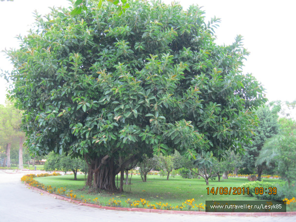 photo 411904