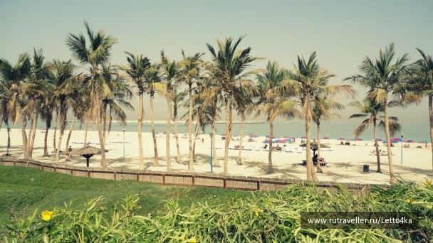 photo 219767