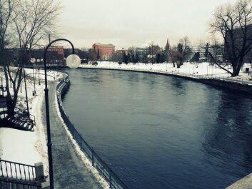 photo 226832