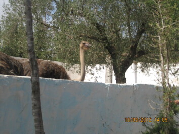 photo 459614
