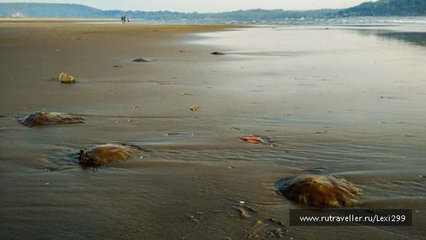 photo 1477413