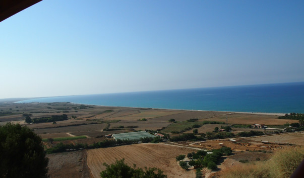 P1010330