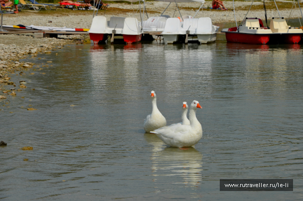 photo 632306