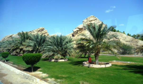 SAM_3564