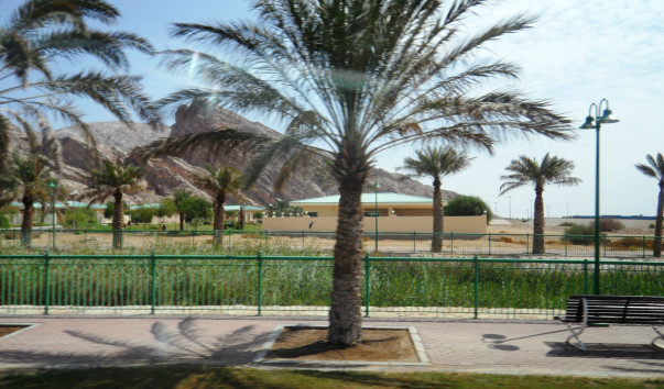 SAM_3560