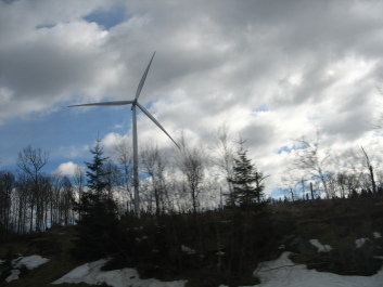 photo 162543