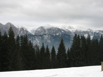photo 169813