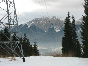 photo 169816