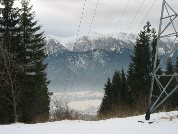 photo 169817