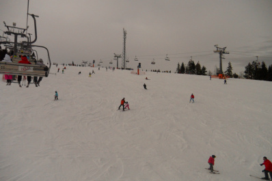 photo 169830